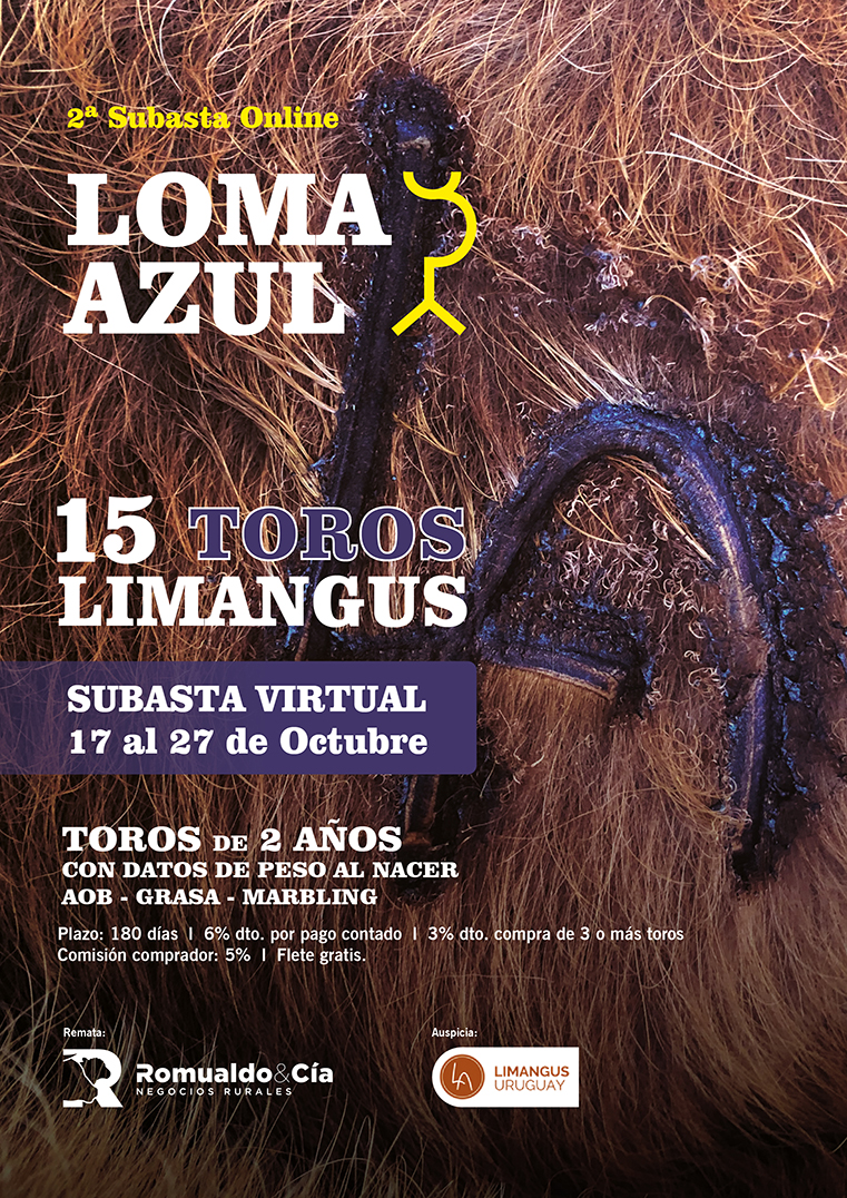 2ª Subasta Online - Limangus LOMA AZUL